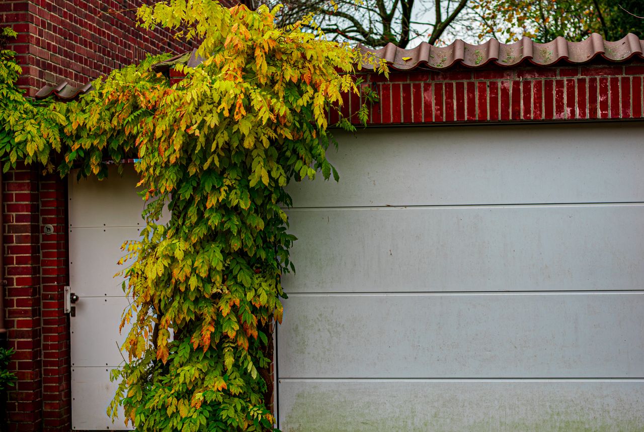 Garage door service in Fresno, CA